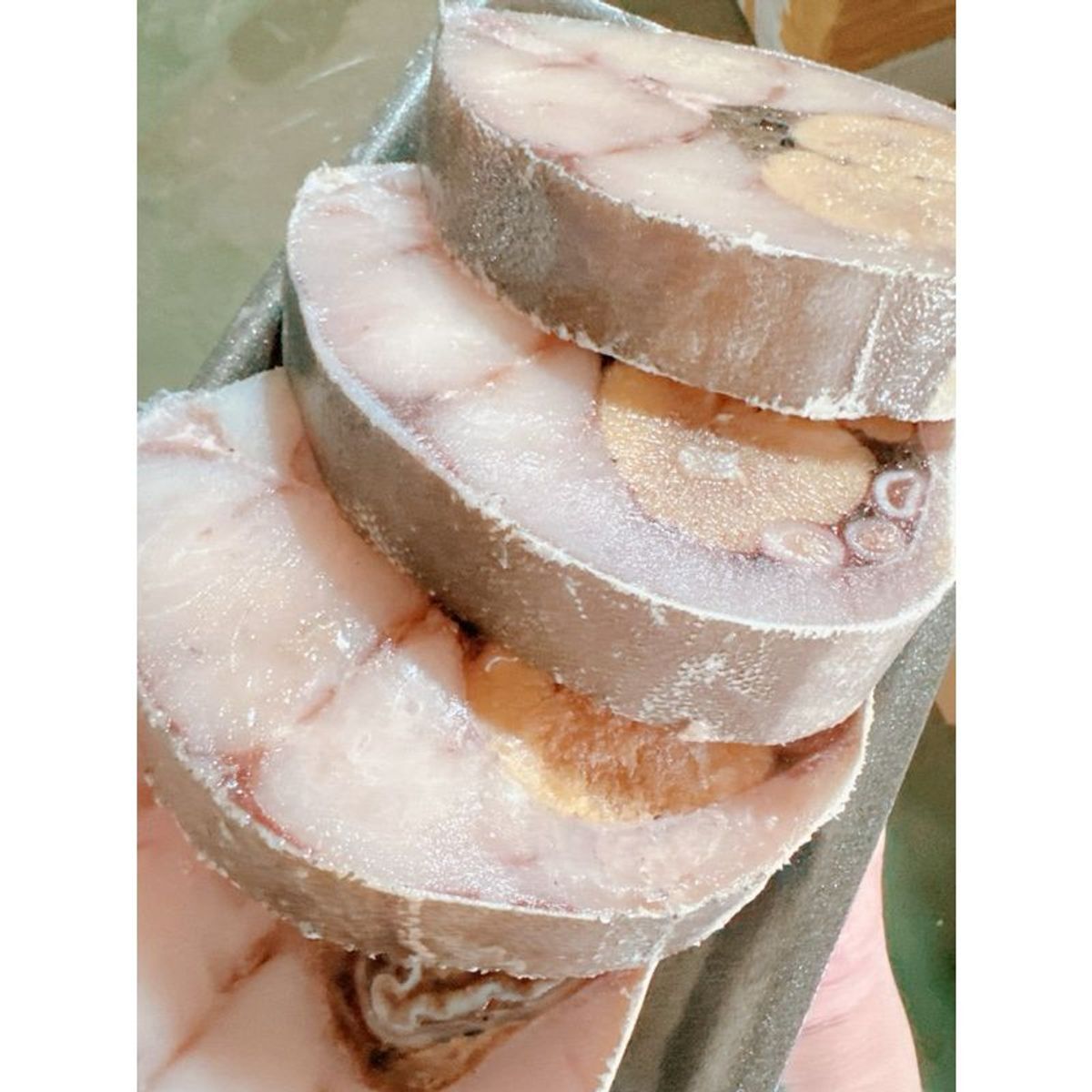 CÁ BỚP BIỂN THIÊN NHIÊN khay 1kg (giao tphcm) CÁ BỚP BIỂN THIÊN NHIÊN khay 1kg (giao tphcm)