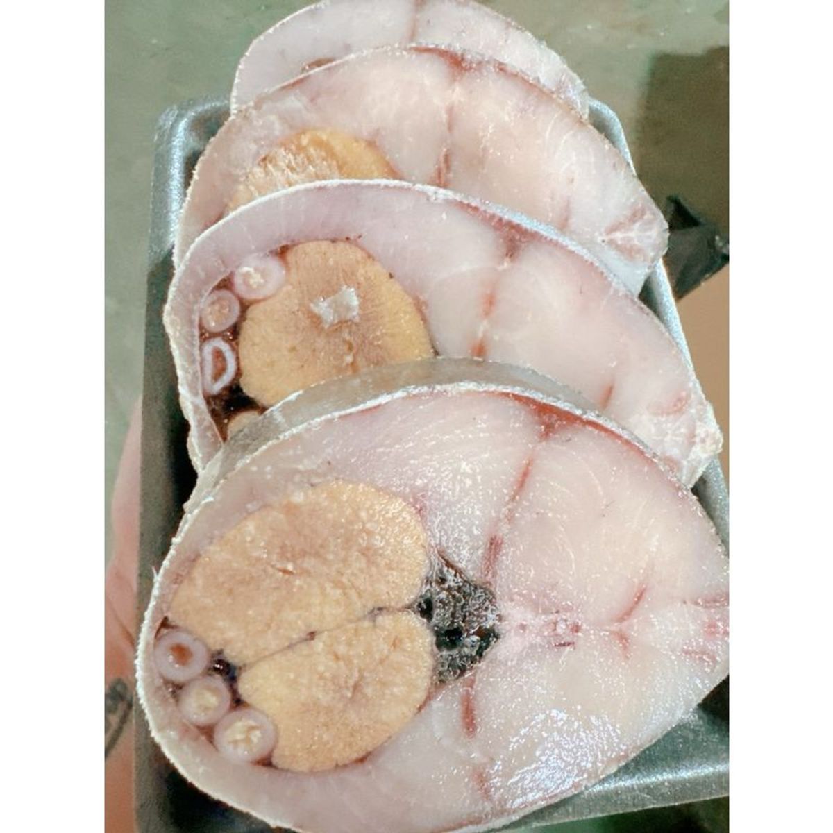 CÁ BỚP BIỂN THIÊN NHIÊN khay 1kg (giao tphcm) CÁ BỚP BIỂN THIÊN NHIÊN khay 1kg (giao tphcm)