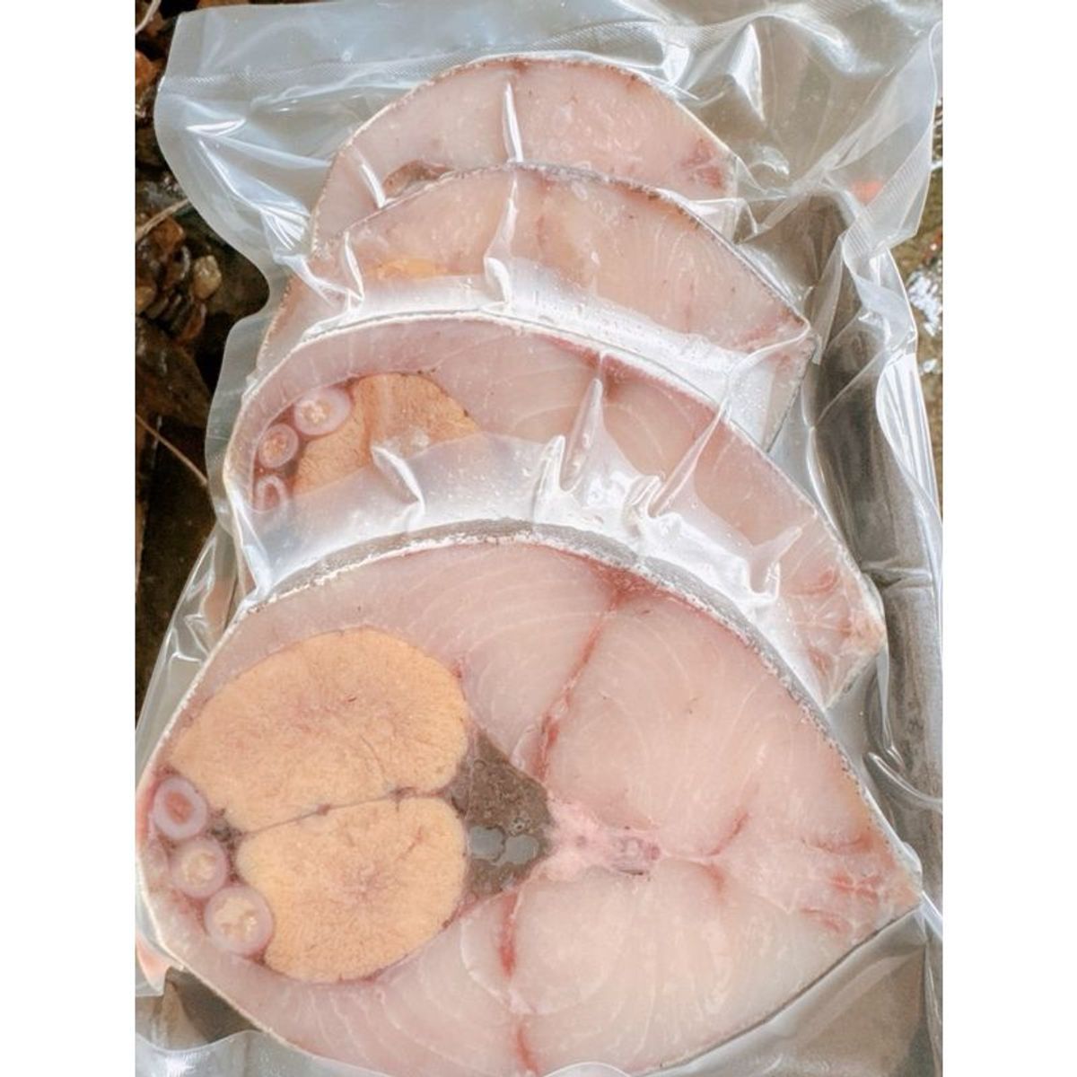 CÁ BỚP BIỂN THIÊN NHIÊN khay 1kg (giao tphcm) CÁ BỚP BIỂN THIÊN NHIÊN khay 1kg (giao tphcm)
