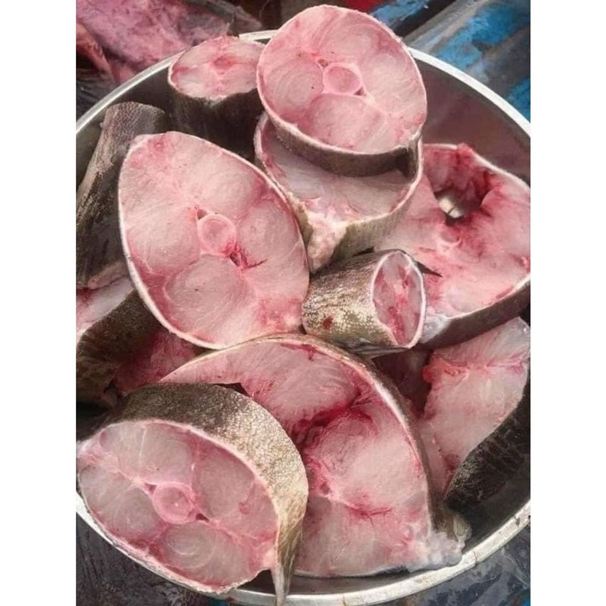 CÁ BỚP BIỂN THIÊN NHIÊN khay 1kg (giao tphcm) CÁ BỚP BIỂN THIÊN NHIÊN khay 1kg (giao tphcm)