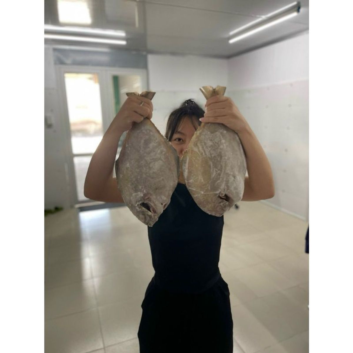 Cá Chim tươi cấp đông 1kg hút chân không (giao tphcm) Cá Chim tươi cấp đông 1kg hút chân không (giao tphcm)