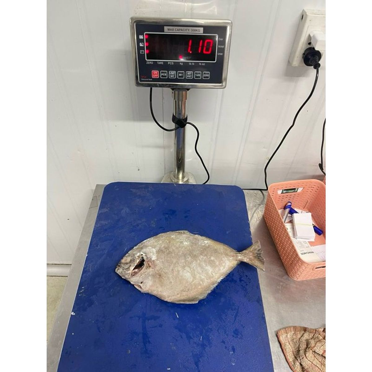 Cá Chim tươi cấp đông 1kg hút chân không (giao tphcm) Cá Chim tươi cấp đông 1kg hút chân không (giao tphcm)