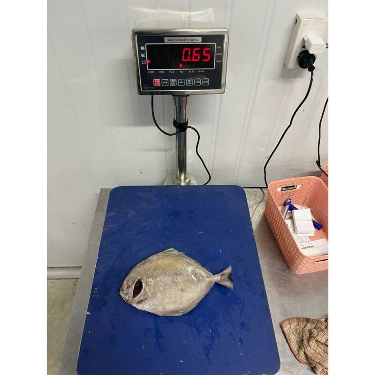 Cá Chim tươi cấp đông 1kg hút chân không (giao tphcm) Cá Chim tươi cấp đông 1kg hút chân không (giao tphcm)