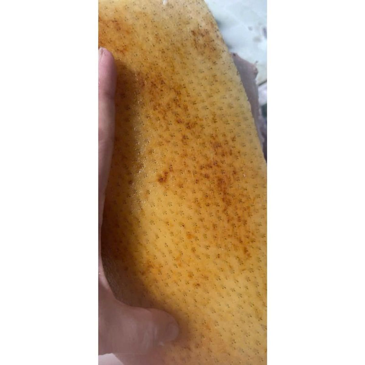Heo Rừng 3 chân long phần ba rọi đùi bịch 1kg (giao tphcm) Heo Rừng 3 chân long phần ba rọi đùi bịch 1kg (giao tphcm)