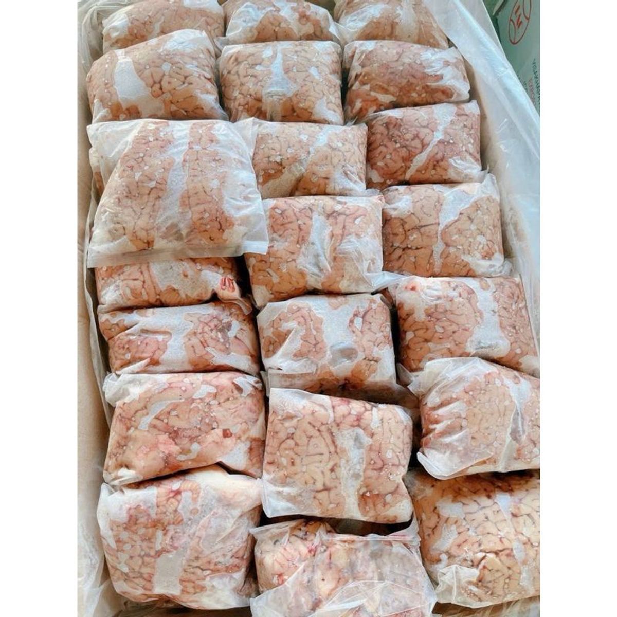 Ốc Bò 1 túi khoản 400g gần 2 bộ ốc To tươi cấp đông (giao tphcm) Ốc Bò 1 túi khoản 400g gần 2 bộ ốc To tươi cấp đông (giao tphcm)