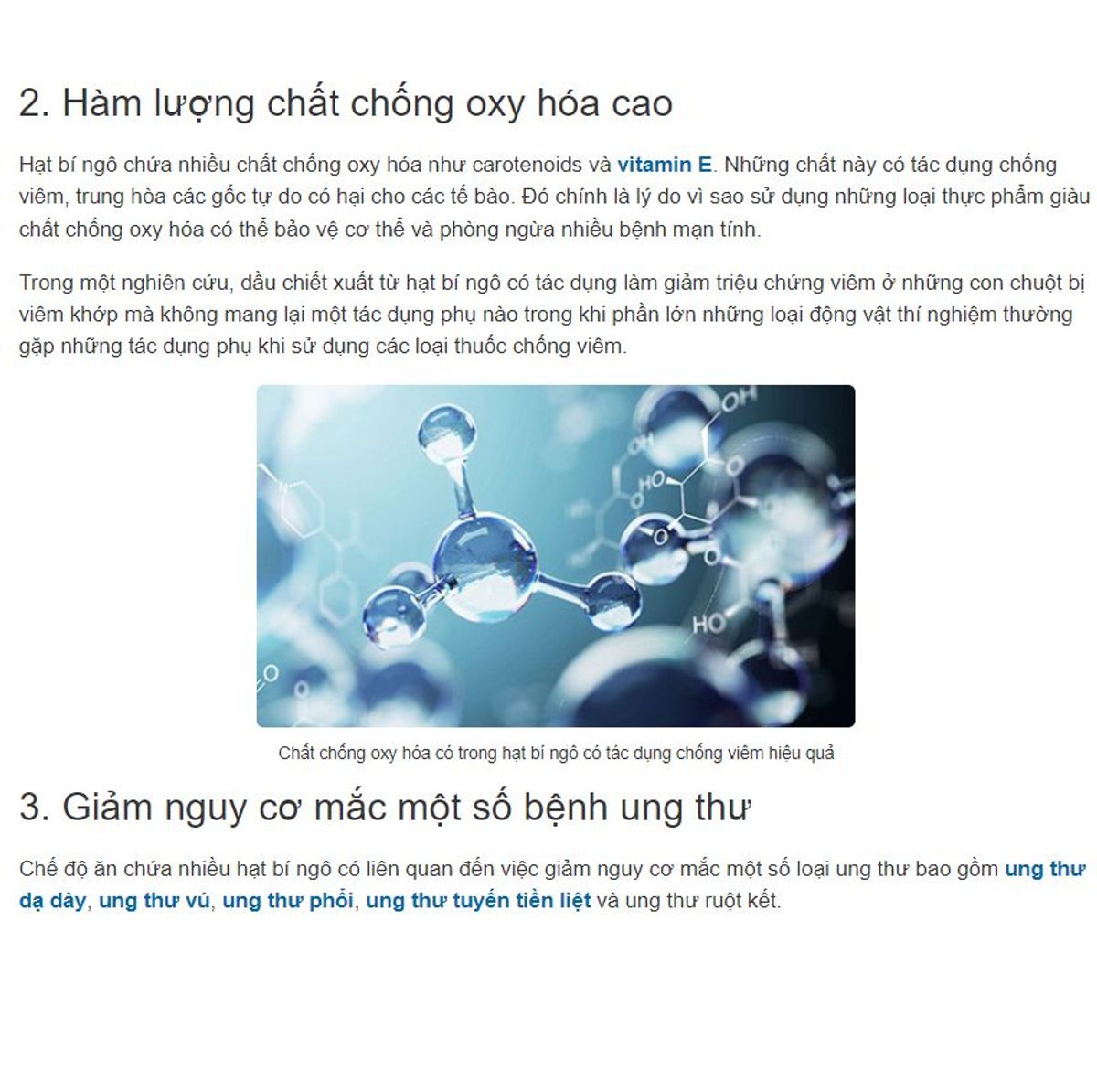 500g Hạt bí rang củi, hạt bí Tân Bảo Ký sạch, thơm ngon, béo giòn, tốt cho sức khoẻ hàng chuẩn, món ngon ngày Tết - CTB628, ăn vặt 500g Hạt bí rang củi, hạt bí Tân Bảo Ký sạch, thơm ngon, béo giòn, tốt cho sức khoẻ hàng chuẩn, món ngon ngày Tết - CTB628, ăn vặt