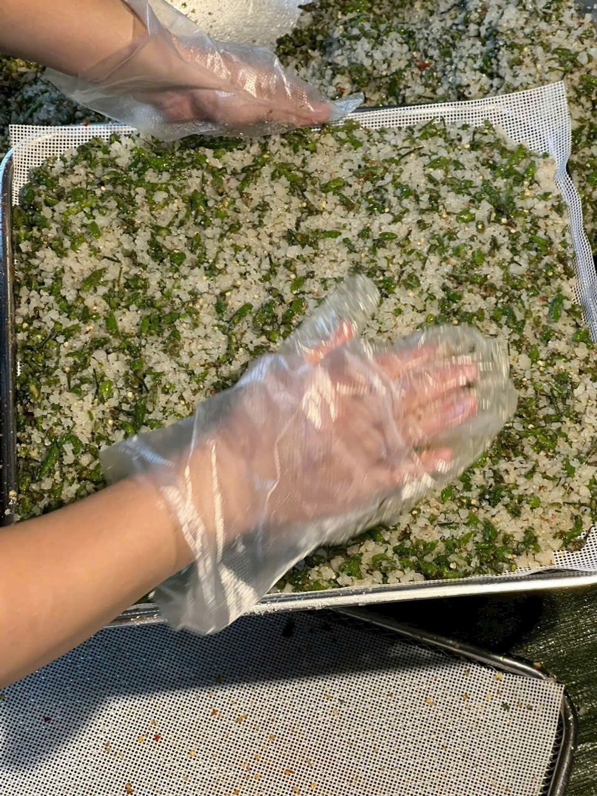 MUỐI HỘT XANH RANG CHANH - CHẤM GÌ CŨNG NGON, ƯỚP GÌ CŨNG THẤM 500G - WINNIE HOUSE MUỐI HỘT XANH RANG CHANH - CHẤM GÌ CŨNG NGON, ƯỚP GÌ CŨNG THẤM 500G - WINNIE HOUSE