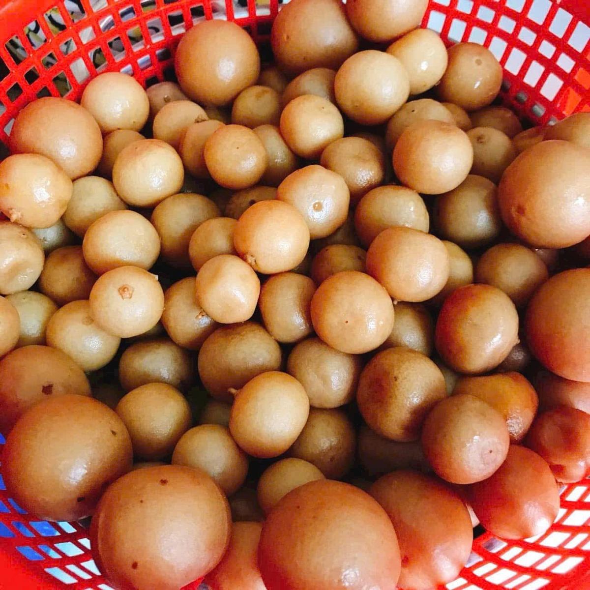 TẮC MUỐI NGÂM ĐƯỜNG PHÈN – GIẢI CẢM, GIỮ ẤM CỔ HỌNG, TĂNG SỨC ĐỀ KHÁNG 1KG - WINNIE HOUSE TẮC MUỐI NGÂM ĐƯỜNG PHÈN – GIẢI CẢM, GIỮ ẤM CỔ HỌNG, TĂNG SỨC ĐỀ KHÁNG 1KG - WINNIE HOUSE