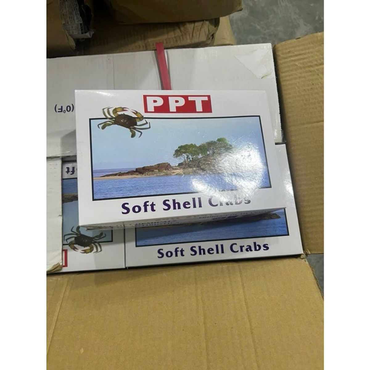 Cua Lột con lớn size 6-8 con hộp 1kg (giao tphcm) Cua Lột con lớn size 6-8 con hộp 1kg (giao tphcm)
