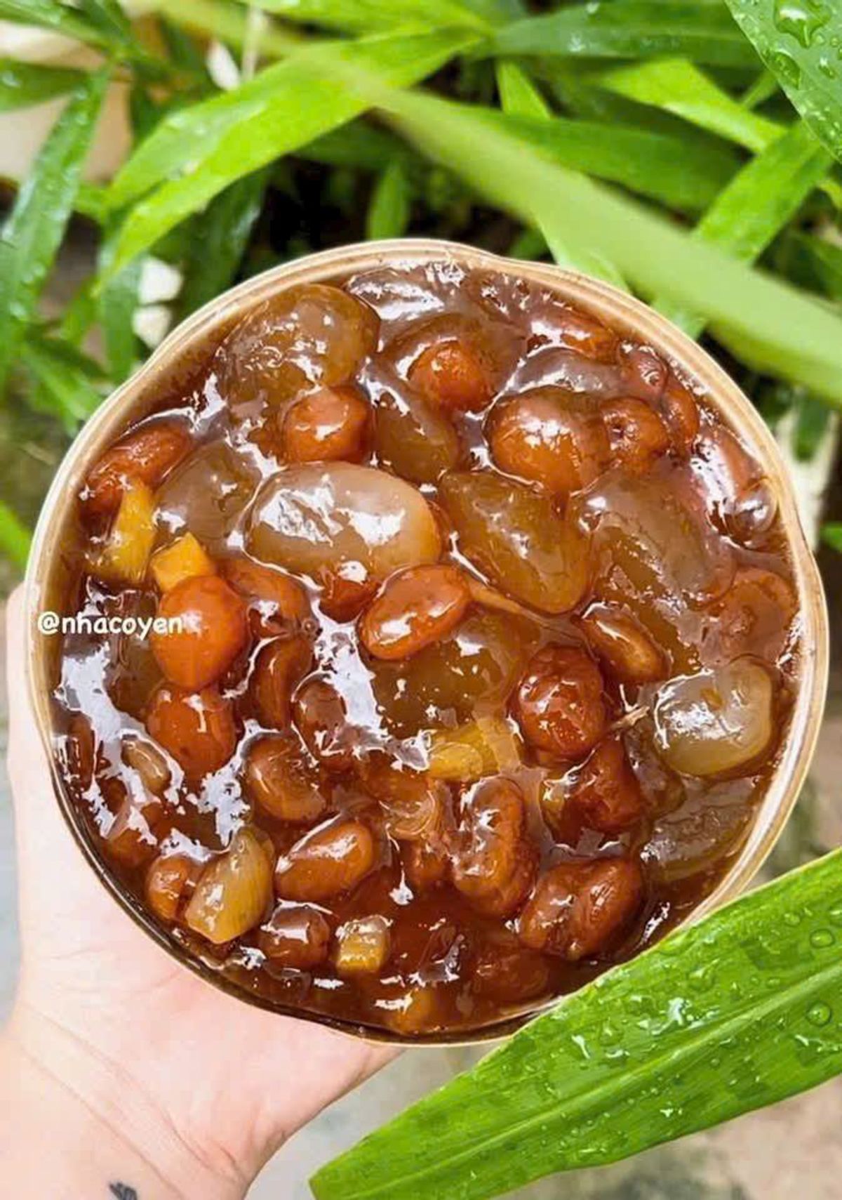 ME HẠT MỀM RIM ĐÁC & KHÓM – MÁT LẠNH MÙA NÓNG, GIẢI NHIỆT TỨC THÌ - WINNIE HOUSE ME HẠT MỀM RIM ĐÁC & KHÓM – MÁT LẠNH MÙA NÓNG, GIẢI NHIỆT TỨC THÌ - WINNIE HOUSE