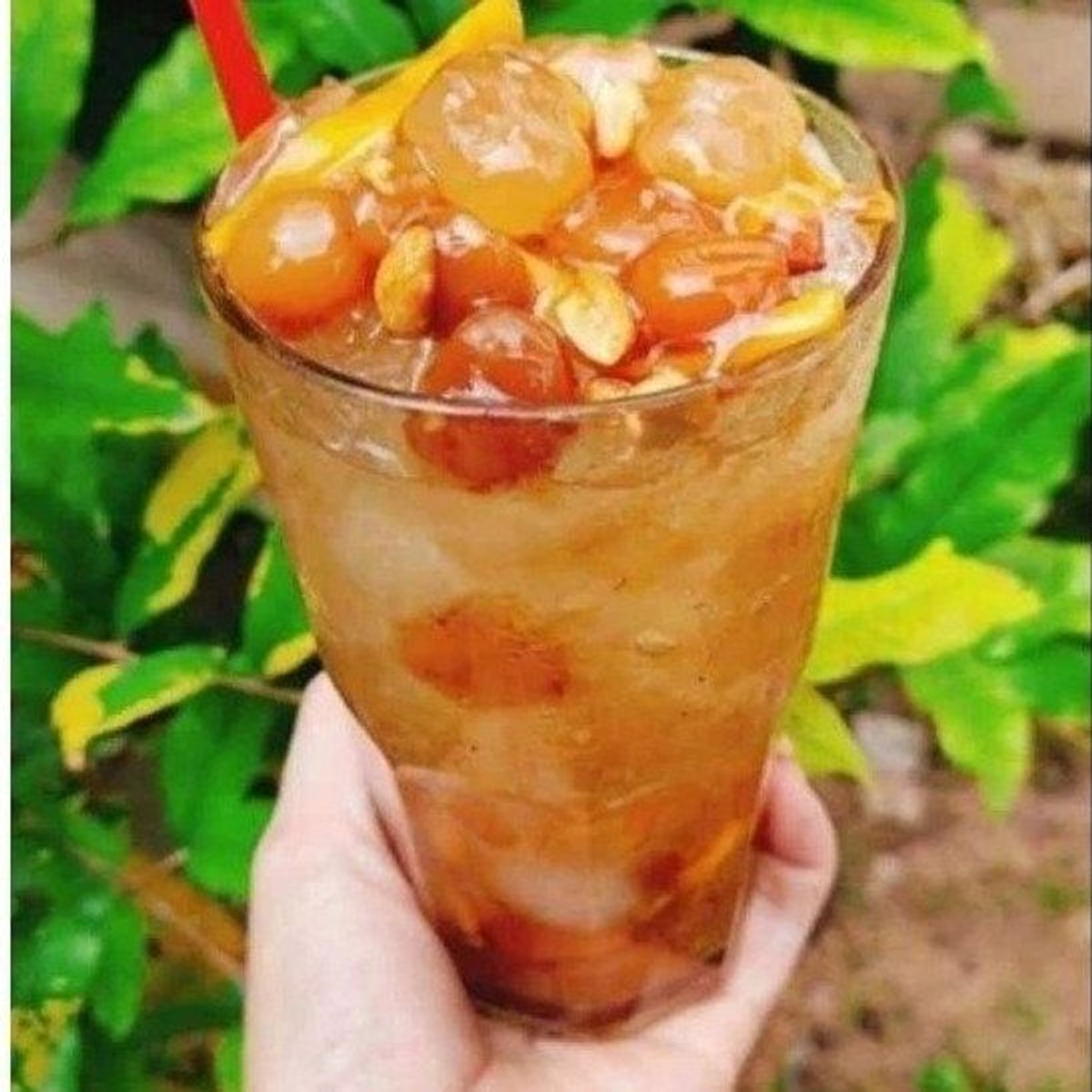 ME HẠT MỀM RIM ĐÁC & KHÓM – MÁT LẠNH MÙA NÓNG, GIẢI NHIỆT TỨC THÌ - WINNIE HOUSE ME HẠT MỀM RIM ĐÁC & KHÓM – MÁT LẠNH MÙA NÓNG, GIẢI NHIỆT TỨC THÌ - WINNIE HOUSE