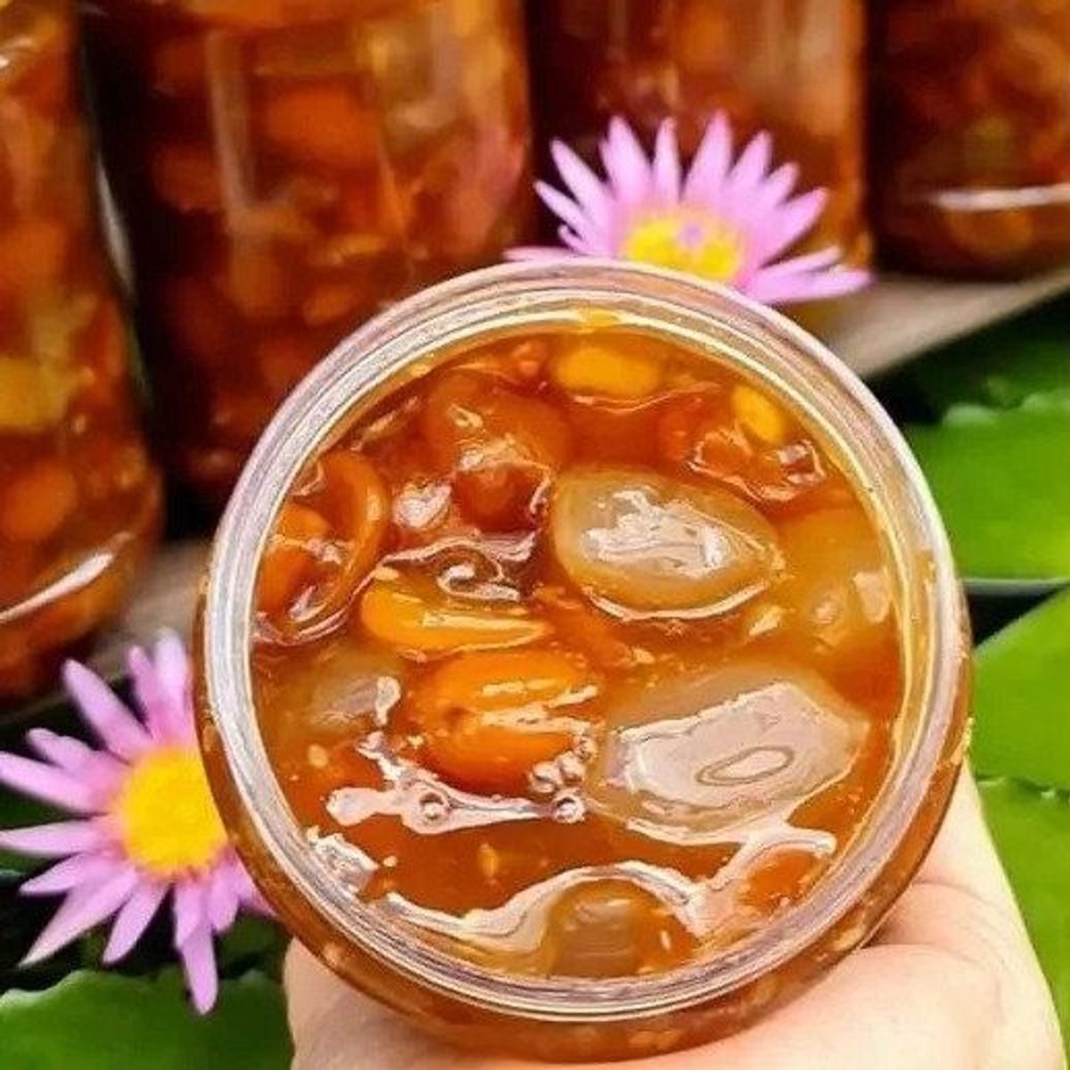 ME HẠT MỀM RIM ĐÁC & KHÓM – MÁT LẠNH MÙA NÓNG, GIẢI NHIỆT TỨC THÌ - WINNIE HOUSE ME HẠT MỀM RIM ĐÁC & KHÓM – MÁT LẠNH MÙA NÓNG, GIẢI NHIỆT TỨC THÌ - WINNIE HOUSE