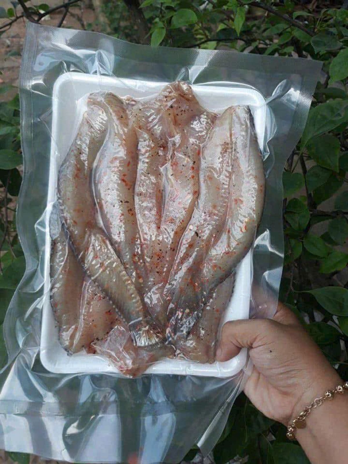 KHÔ CÁ LÓC TIÊU ỚT VỊ ĐẬM ĐÀ 500G - WINNIE HOUSE KHÔ CÁ LÓC TIÊU ỚT VỊ ĐẬM ĐÀ 500G - WINNIE HOUSE