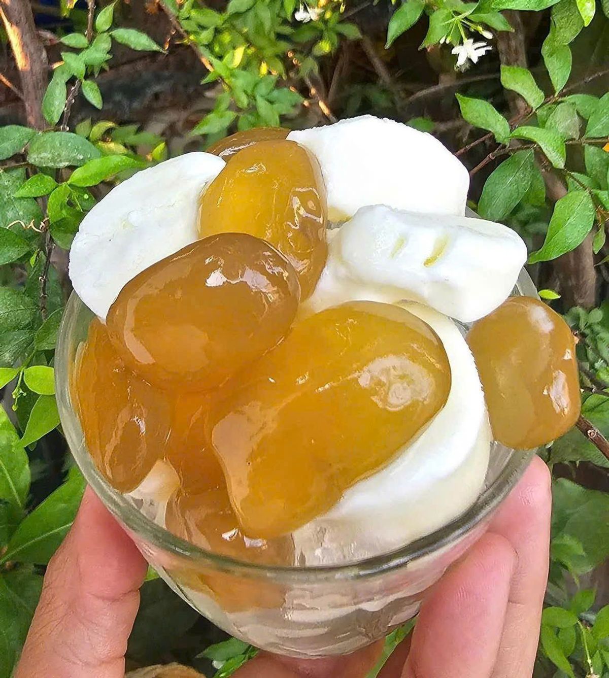 HẠT ĐÁC RIM ĐƯỜNG THỐT NỐT, TOPPING SIÊU HOT - WINNIE HOUSE HẠT ĐÁC RIM ĐƯỜNG THỐT NỐT, TOPPING SIÊU HOT - WINNIE HOUSE