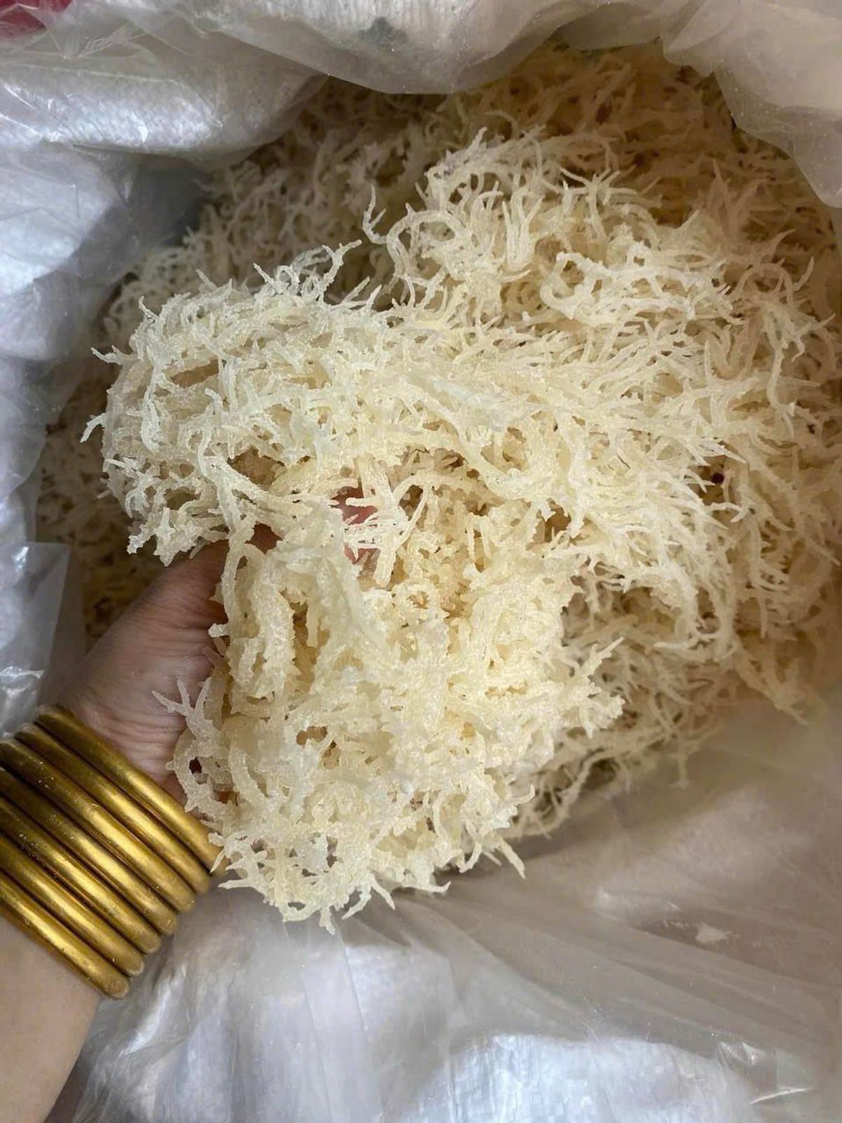 RONG SỤN BIỂN KHÔ – GIÒN RỤP, THANH MÁT, SIÊU BỔ DƯỠNG 500G - WINNIE HOUSE RONG SỤN BIỂN KHÔ – GIÒN RỤP, THANH MÁT, SIÊU BỔ DƯỠNG 500G - WINNIE HOUSE