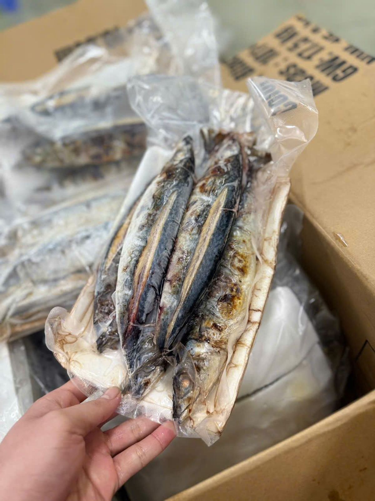 Cá Nục Nướng Thăng Hoa 1kg Cá Nục Nướng Thăng Hoa 1kg