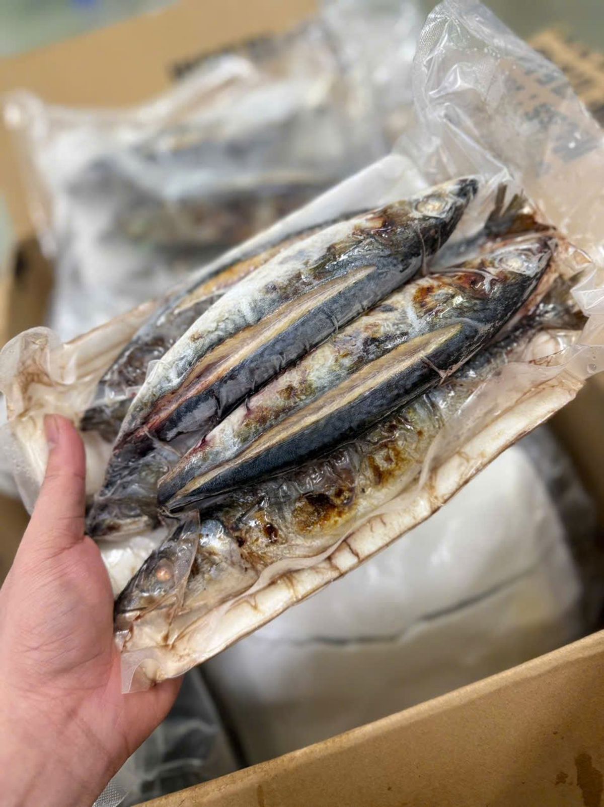 Cá Nục Nướng Thăng Hoa 1kg Cá Nục Nướng Thăng Hoa 1kg