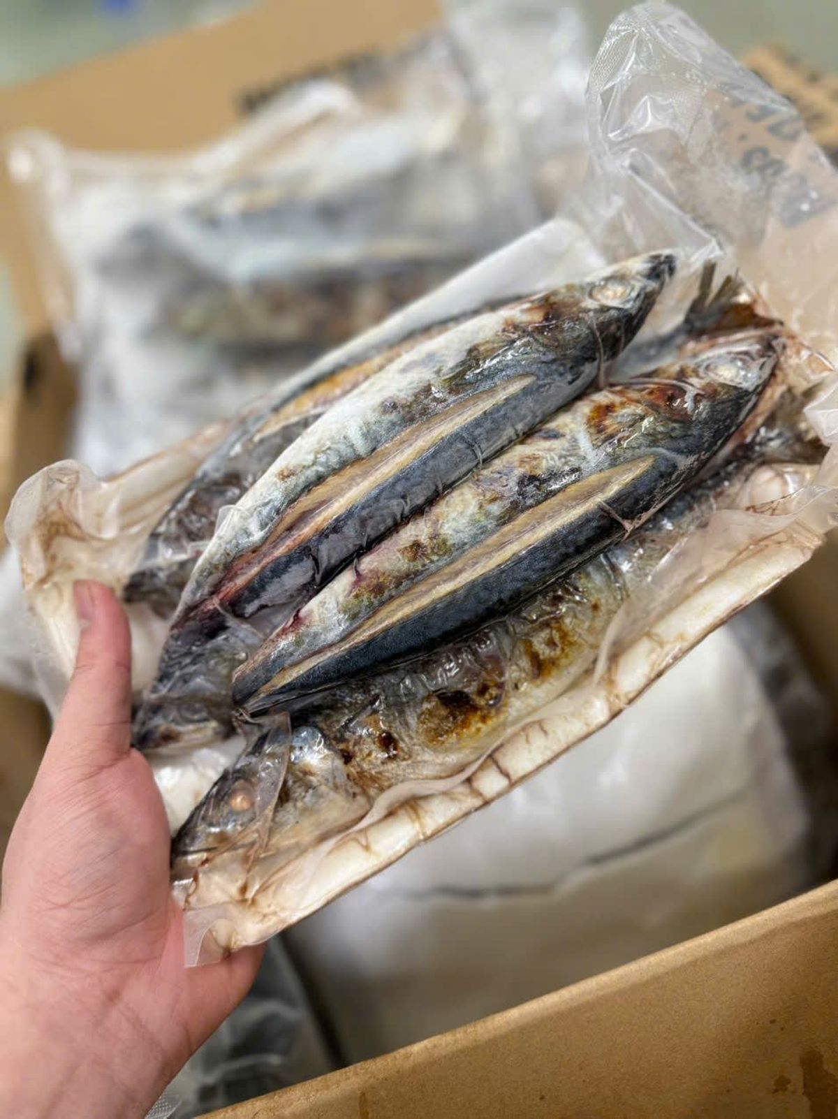 Cá Nục Nướng Thăng Hoa 1kg Cá Nục Nướng Thăng Hoa 1kg