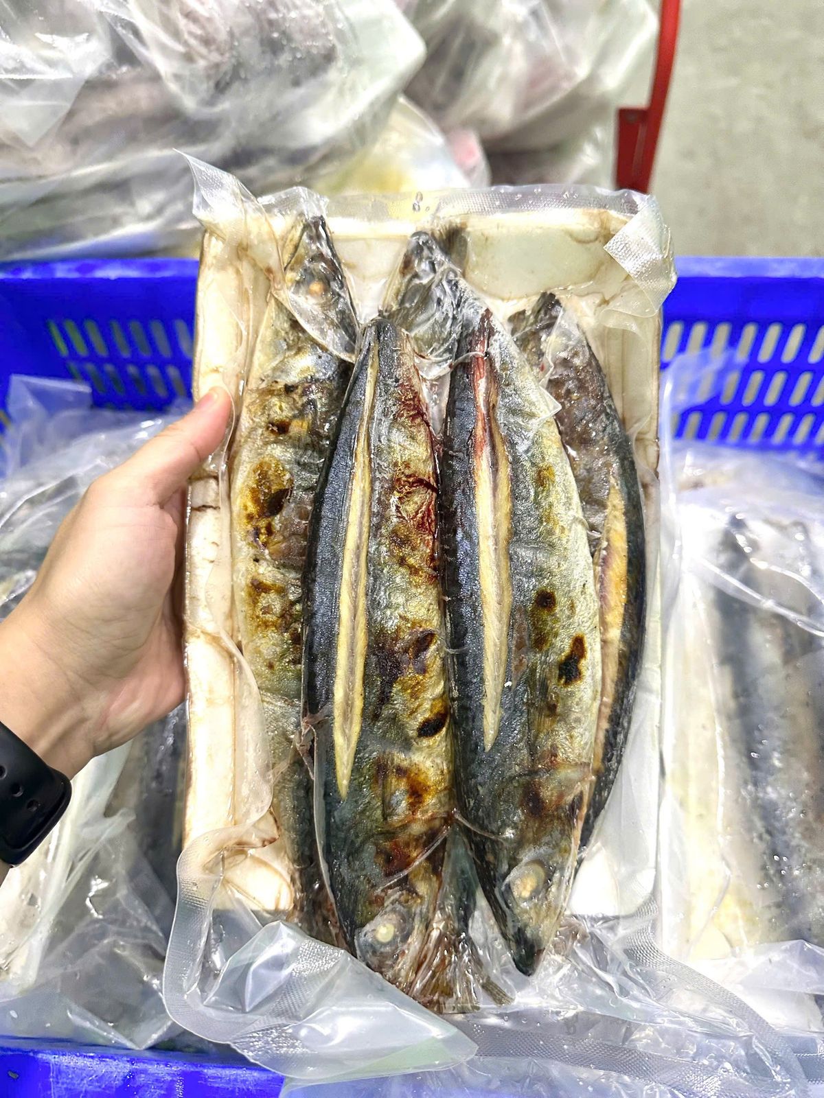 Cá Nục Nướng Thăng Hoa 1kg Cá Nục Nướng Thăng Hoa 1kg
