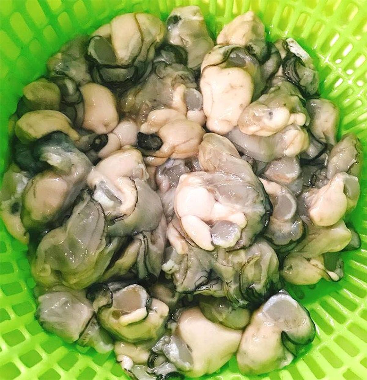 Hàu sữa tách vỏ đủ 1kg ( Giao Hỏa Tốc HCM ) Hàu sữa tách vỏ đủ 1kg ( Giao Hỏa Tốc HCM )