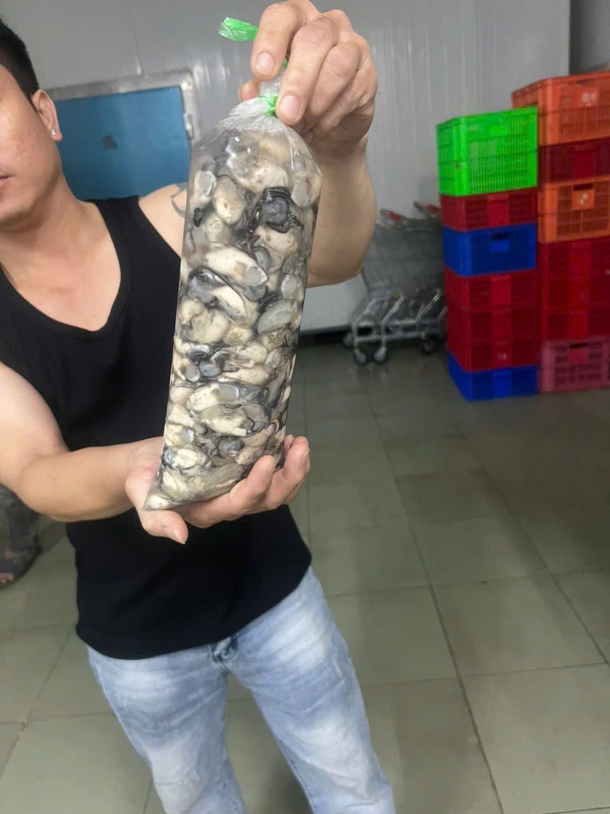 Hàu sữa tách vỏ đủ 1kg ( Giao Hỏa Tốc HCM ) Hàu sữa tách vỏ đủ 1kg ( Giao Hỏa Tốc HCM )