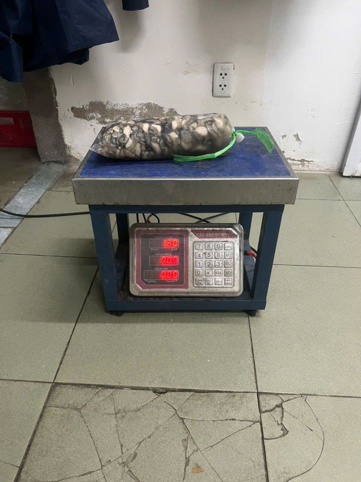 Hàu sữa tách vỏ đủ 1kg ( Giao Hỏa Tốc HCM ) Hàu sữa tách vỏ đủ 1kg ( Giao Hỏa Tốc HCM )