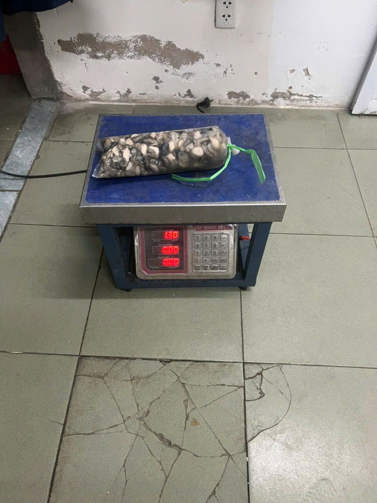 Hàu sữa tách vỏ đủ 1kg ( Giao Hỏa Tốc HCM ) Hàu sữa tách vỏ đủ 1kg ( Giao Hỏa Tốc HCM )