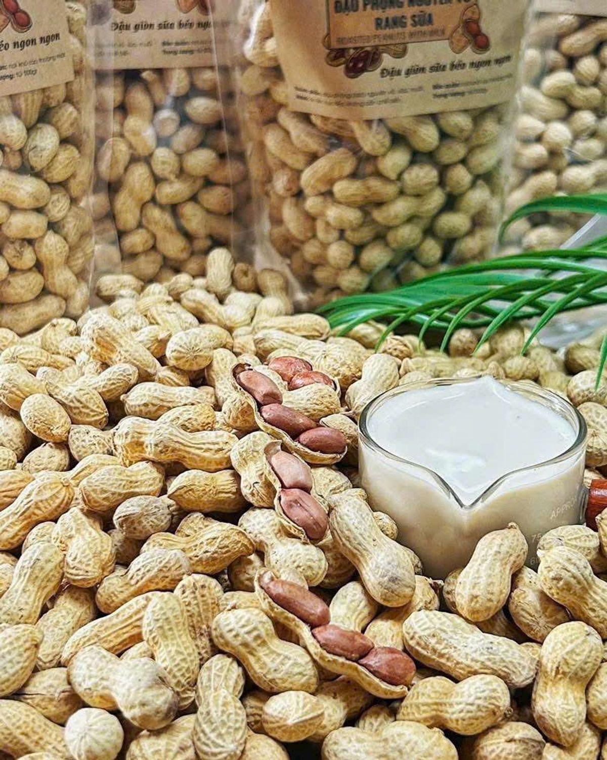 ĐẬU PHỘNG NGUYÊN VỎ RANG SỮA THƠM NGON 500G - WINNIE HOUSE ĐẬU PHỘNG NGUYÊN VỎ RANG SỮA THƠM NGON 500G - WINNIE HOUSE