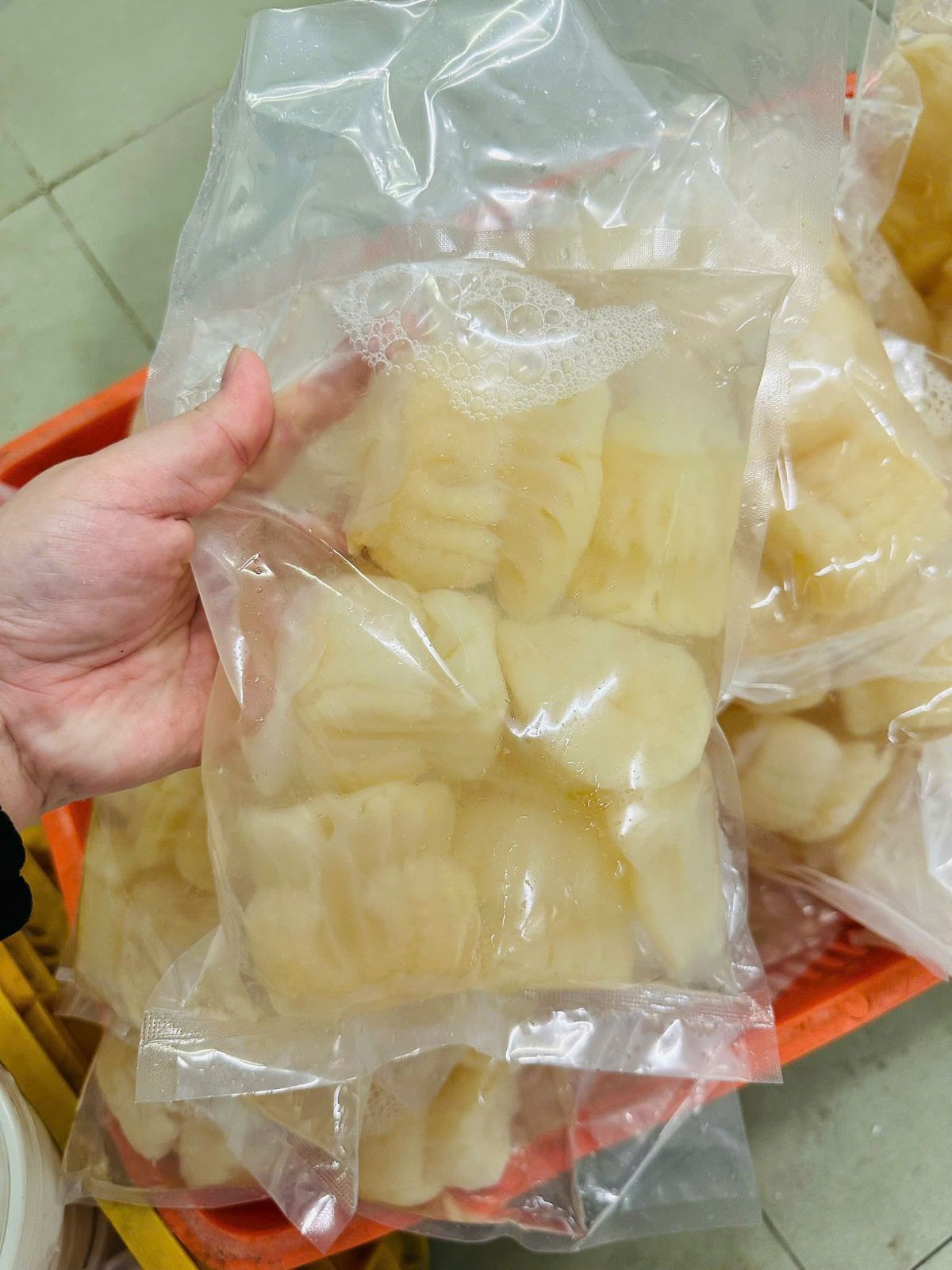 ***Sứa Đạn Thái Lan Nhập Khẩu Tươi đã nhã mặn - bịch 4-6 cục 500gr (hoả tốc hcm) ***Sứa Đạn Thái Lan Nhập Khẩu Tươi đã nhã mặn - bịch 4-6 cục 500gr (hoả tốc hcm)