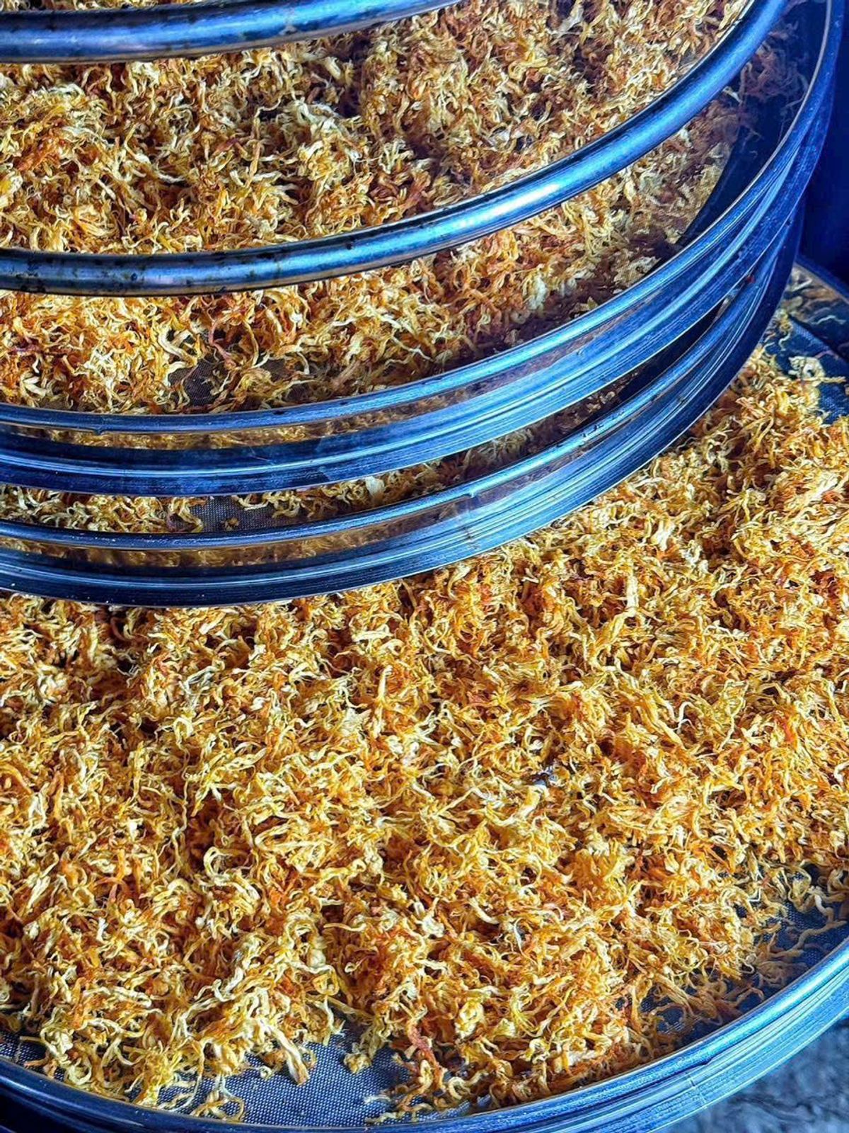 CHÀ BÔNG GÀ SẤY THƯỢNG HẠNG – TƠI MỀM VÀNG ÓNG 250G - WINNIE HOUSE CHÀ BÔNG GÀ SẤY THƯỢNG HẠNG – TƠI MỀM VÀNG ÓNG 250G - WINNIE HOUSE