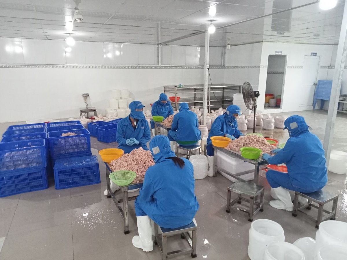 Ruốc muối - Mắm tép Hàn dùng làm kim chi, nước sốt, mắm tôm hoặc ăn sống - 1KG/HŨ (Có thùng 20kg) Ruốc muối - Mắm tép Hàn dùng làm kim chi, nước sốt, mắm tôm hoặc ăn sống - 1KG/HŨ (Có thùng 20kg)