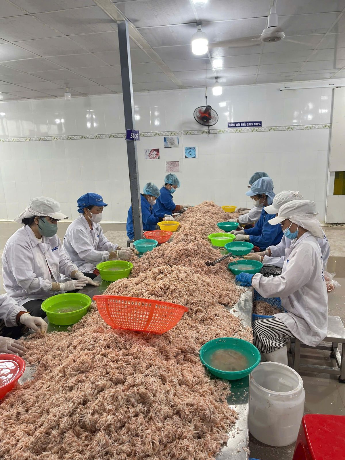 Ruốc muối - Mắm tép Hàn dùng làm kim chi, nước sốt, mắm tôm hoặc ăn sống - 1KG/HŨ (Có thùng 20kg) Ruốc muối - Mắm tép Hàn dùng làm kim chi, nước sốt, mắm tôm hoặc ăn sống - 1KG/HŨ (Có thùng 20kg)
