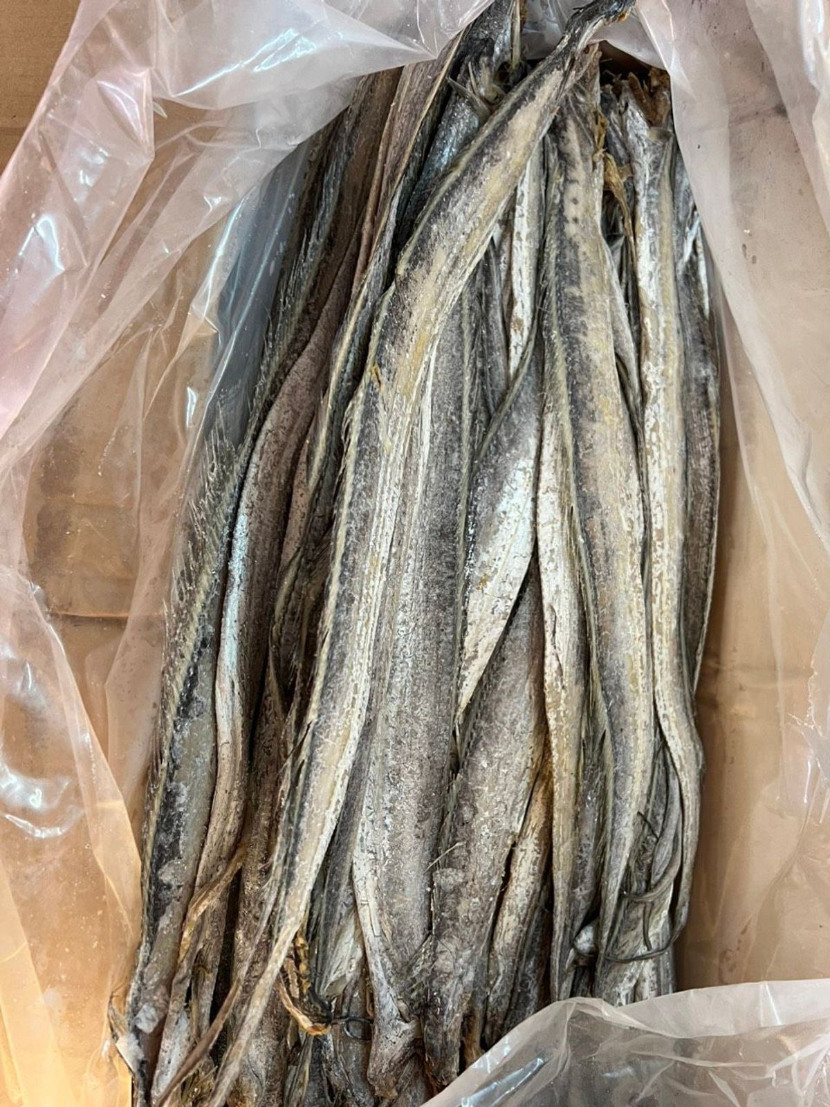 Cá hố muối sư một nắng 1KG - đặc sản Phú Yên, muối mặn, thịt dày, thơm, ngon, chế biến nhiều món ăn Cá hố muối sư một nắng 1KG - đặc sản Phú Yên, muối mặn, thịt dày, thơm, ngon, chế biến nhiều món ăn
