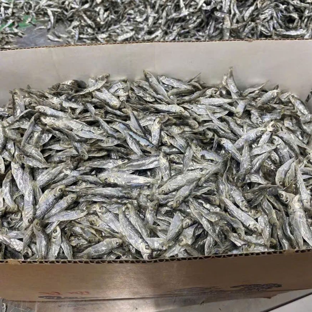 Khô Cá Trích (Cá ve) vị nhạt - 1KG - giòn, thơm, Chất Lượng Cao Cấp Xuất Khẩu, Dễ Chế Biến Thành Nhiều Món Ăn Ngon Khô Cá Trích (Cá ve) vị nhạt - 1KG - giòn, thơm, Chất Lượng Cao Cấp Xuất Khẩu, Dễ Chế Biến Thành Nhiều Món Ăn Ngon