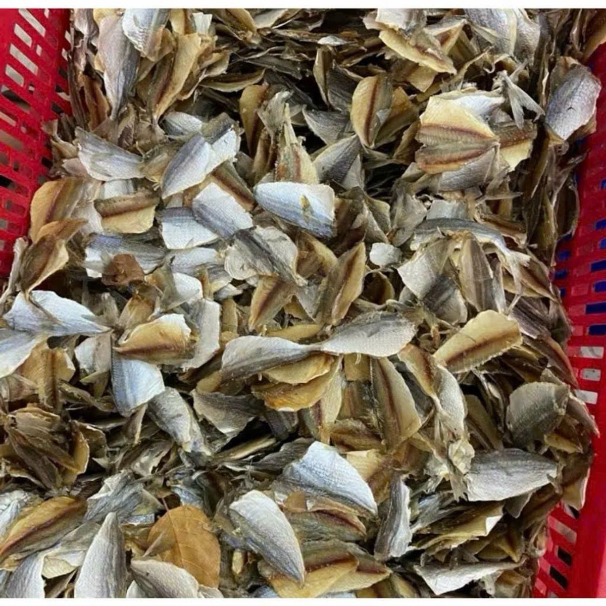 Khô cá chỉ vàng 500GR - vị mặn loại hảo hạng ,đặc sản Vũng Tàu,Cá Chỉ Vàng ít xương, thịt dai,thơm Khô cá chỉ vàng 500GR - vị mặn loại hảo hạng ,đặc sản Vũng Tàu,Cá Chỉ Vàng ít xương, thịt dai,thơm