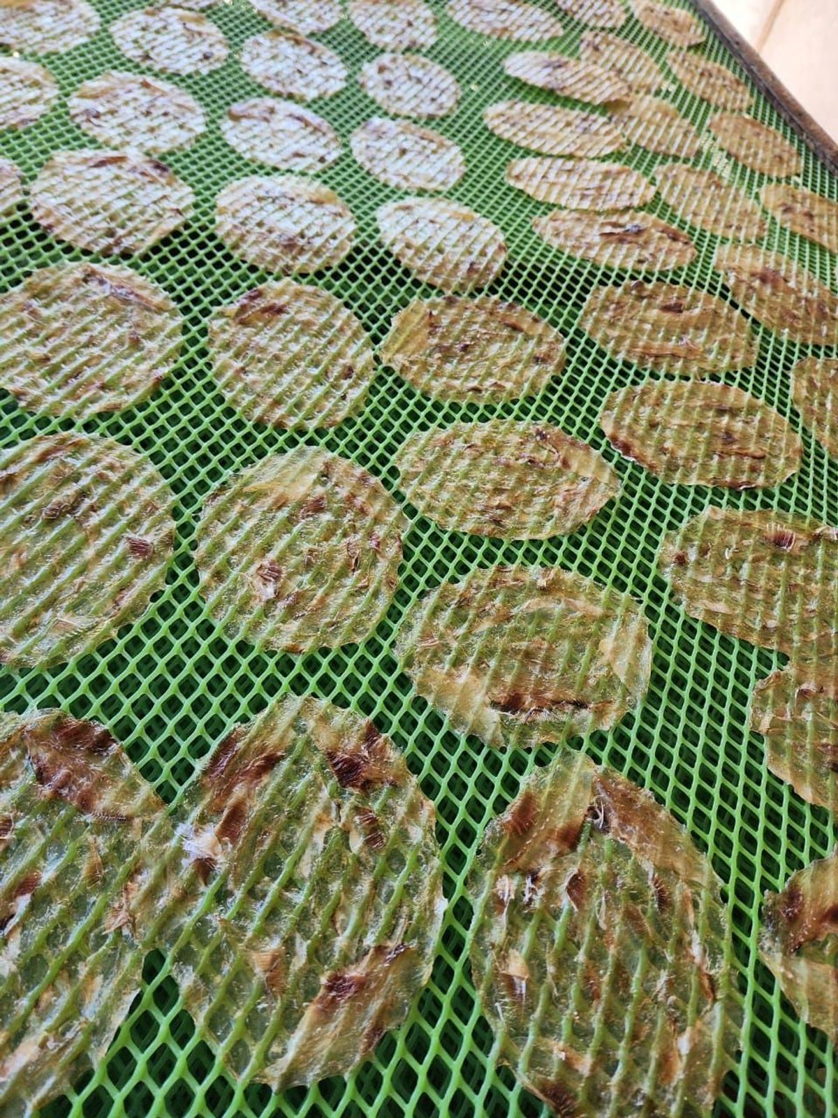 CÁ BÒ khô 500GR chuẩn thơm ngon chất lượng đặc sản miền núi, Chuẩn Ngọt Dày mình, không xương CÁ BÒ khô 500GR chuẩn thơm ngon chất lượng đặc sản miền núi, Chuẩn Ngọt Dày mình, không xương