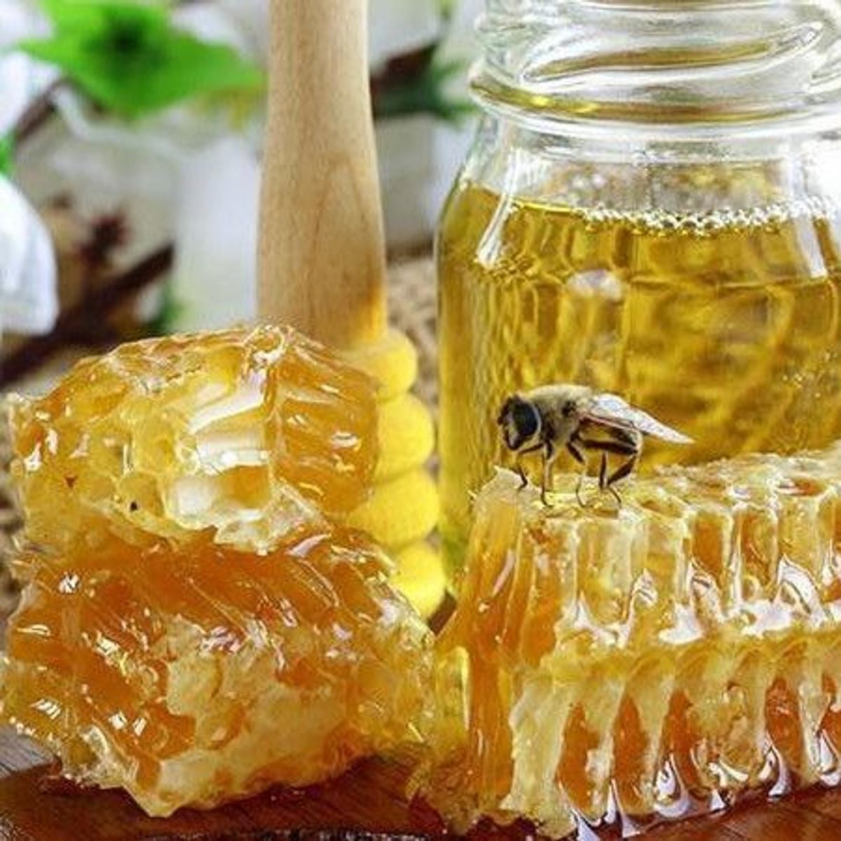 MẬT ONG HOA CỎ KIM (XUYẾN CHI) - Chai 1000ml MẬT ONG HOA CỎ KIM (XUYẾN CHI) - Chai 1000ml
