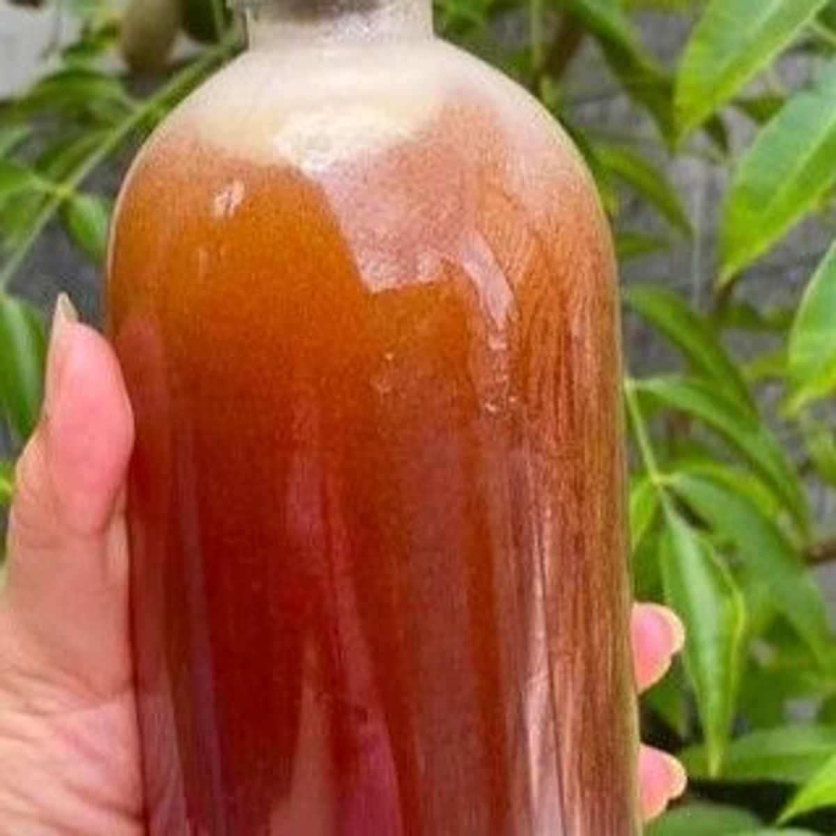 MẬT ONG HOA CÀ PHÊ – NGỌT THANH TỪ MÙA HOA TÂY NGUYÊN - Chai 1000 ml MẬT ONG HOA CÀ PHÊ – NGỌT THANH TỪ MÙA HOA TÂY NGUYÊN - Chai 1000 ml