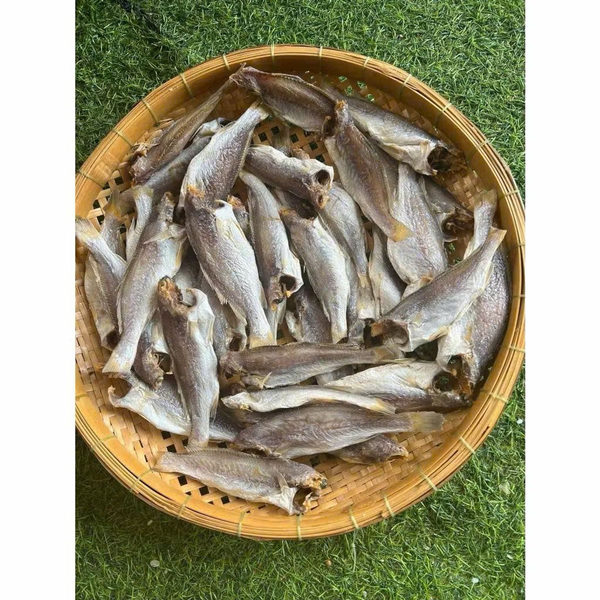 Khô cá đù ít xương, dày thịt, thơm ngon, bỗ dưỡng cho mỗi bữa cơm, đảm bảo an toàn thực phẩm 1KG Khô cá đù ít xương, dày thịt, thơm ngon, bỗ dưỡng cho mỗi bữa cơm, đảm bảo an toàn thực phẩm 1KG