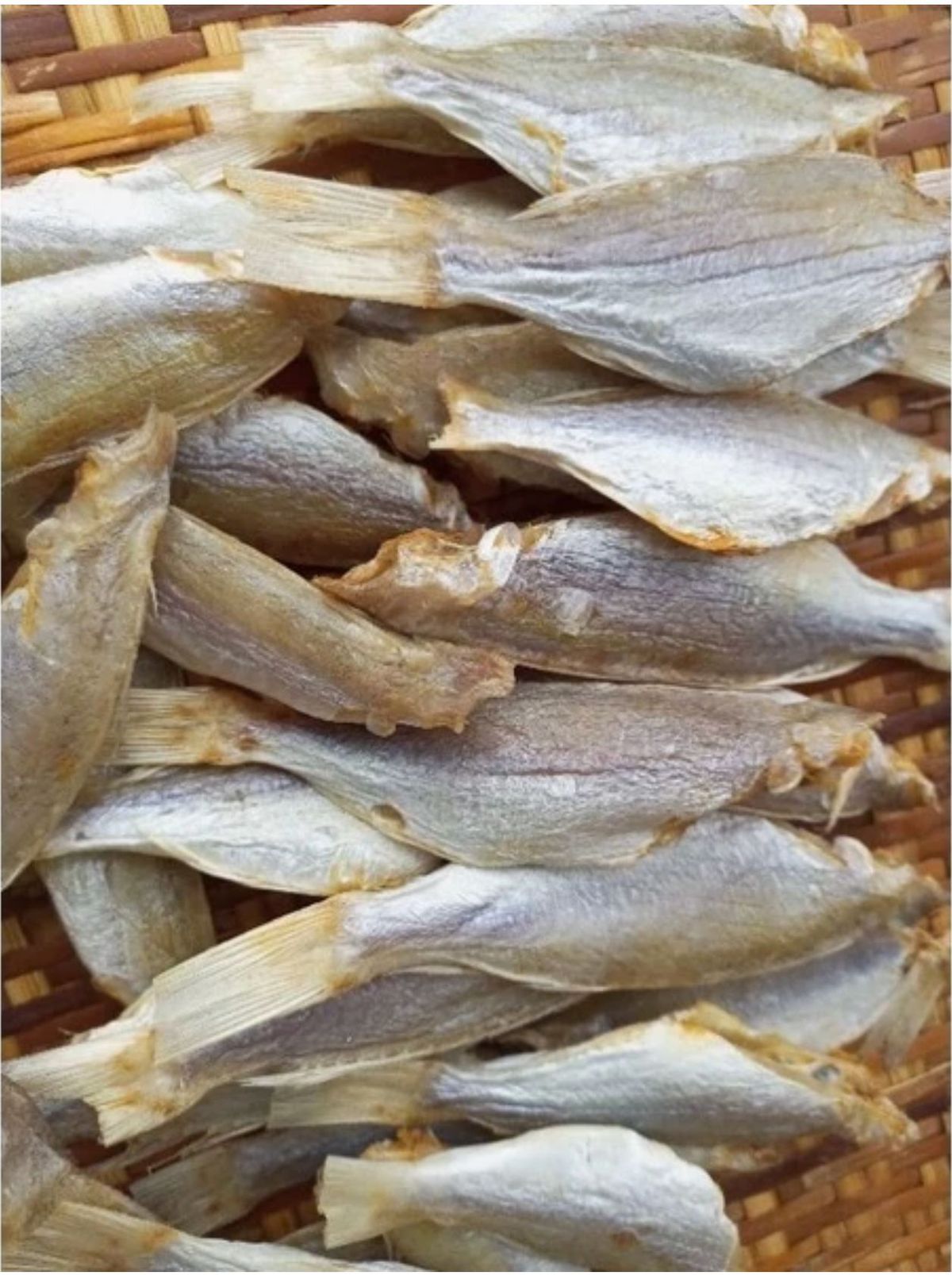 Khô cá đổng ít xương, dày thịt, thơm ngon, bỗ dưỡng cho mỗi bữa cơm, đảm bảo an toàn thực phẩm 1KG Khô cá đổng ít xương, dày thịt, thơm ngon, bỗ dưỡng cho mỗi bữa cơm, đảm bảo an toàn thực phẩm 1KG
