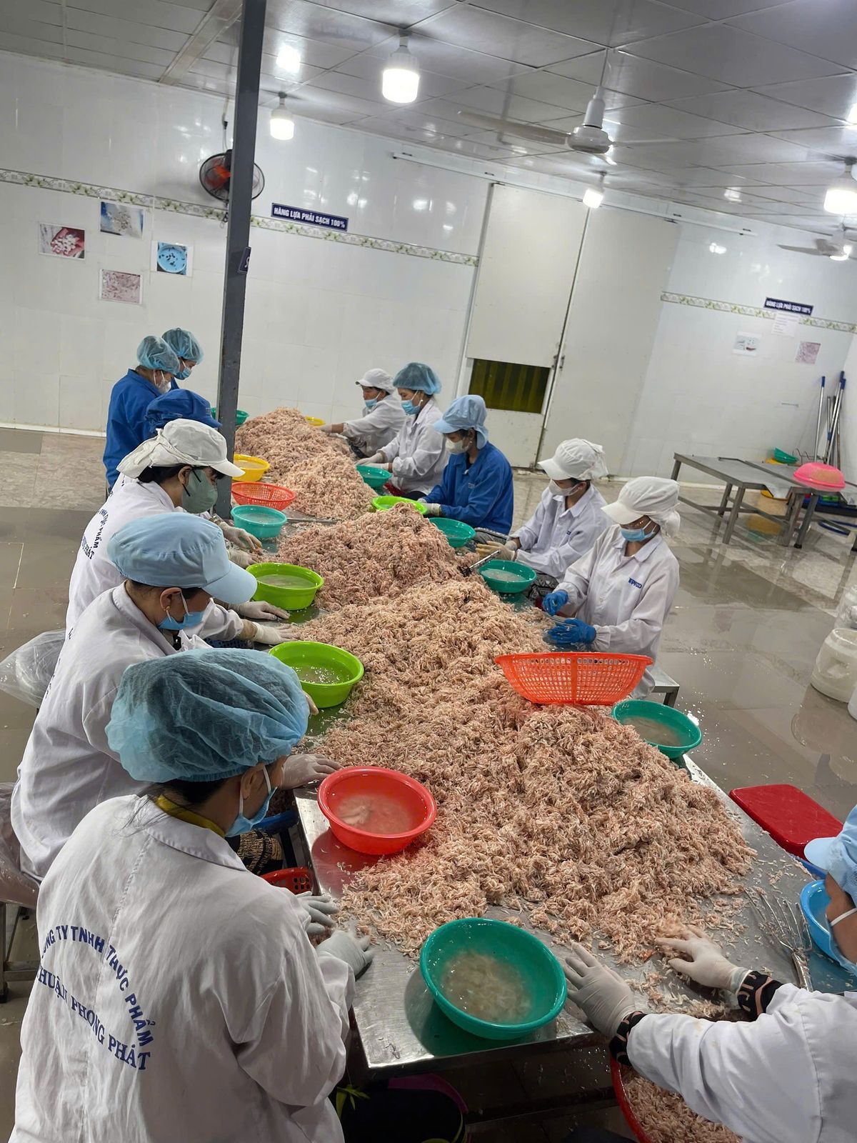 Ruốc muối - Mắm tép Hàn dùng làm kim chi, nước sốt, mắm tôm hoặc ăn sống - THÙNG 20KG Ruốc muối - Mắm tép Hàn dùng làm kim chi, nước sốt, mắm tôm hoặc ăn sống - THÙNG 20KG