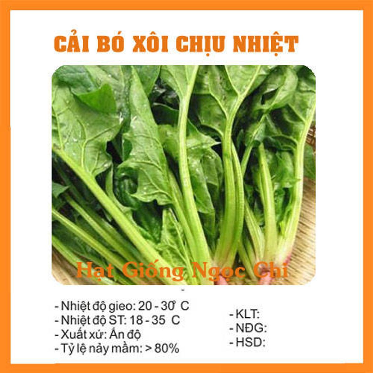 Hạt Giống Cải Bó Xôi (Rau Bina, Rau Chân Vịt) - 20Gr giá sỉ, giá bán ...