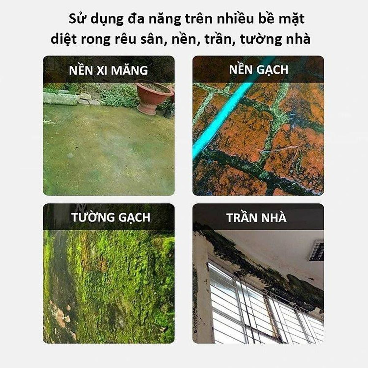 Mua THUỐC DIỆT RONG, BỘT TẨY RONG RÊU NỀN GẠCH, XI MĂNG, TRẦN NHÀ ...