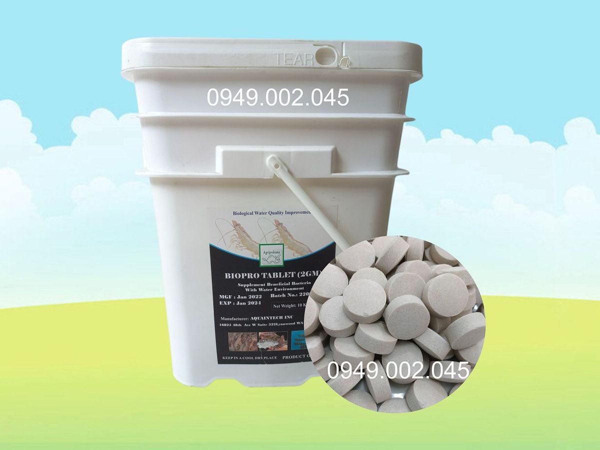 Men Biopro Tablet - Vi sinh viên làm sạch nước và đáy ao nuôi giá sỉ ...