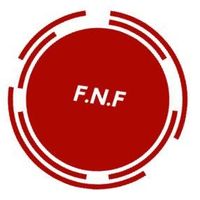 Công ty F.N.F