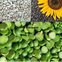 BaSinh's Seed and Peas