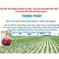 Thinh Phat Store