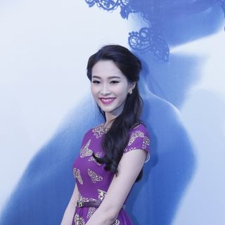 Đầm bướm tím vintage-dp04-e160