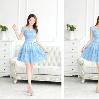 Đầm lưới thêu hoa xanh nổi dt33-e240