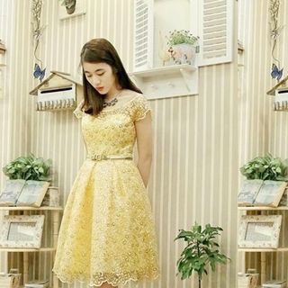 Đầm ren kim sa vàng dt04-e240